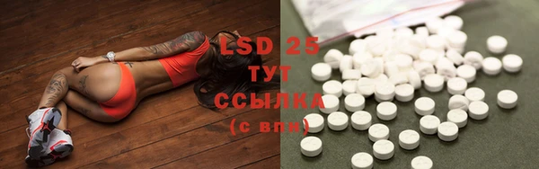 spice Бугульма