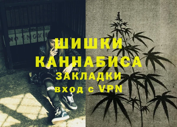 spice Бугульма