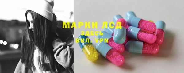 2c-b Бородино