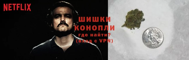 2c-b Бородино