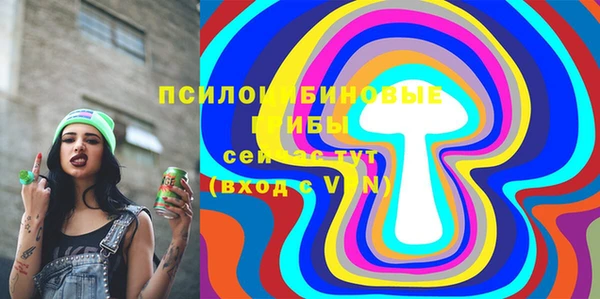 spice Бугульма