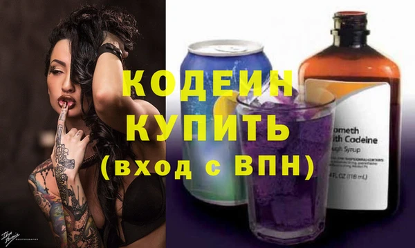 2c-b Бородино