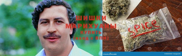 spice Бронницы